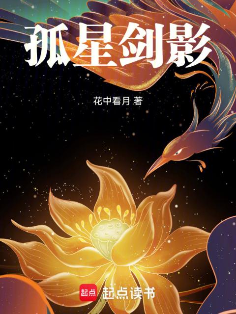 孤星剑影