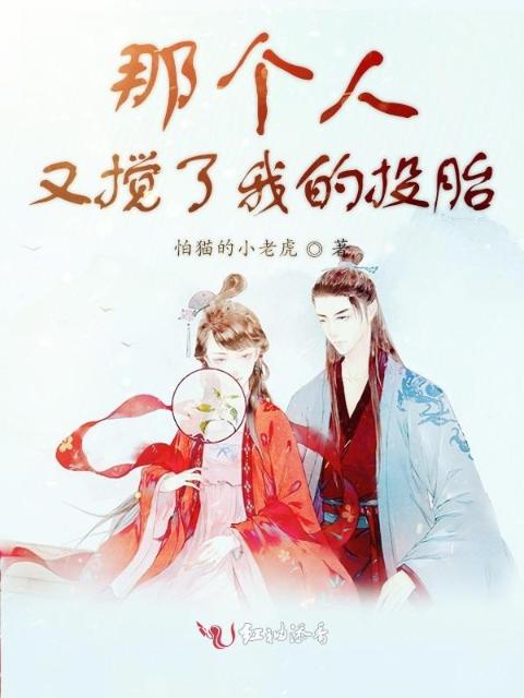 那个人又搅了我的投胎