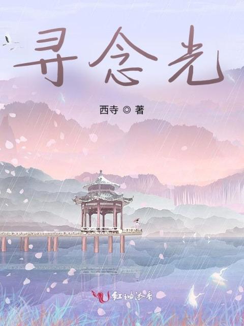 寻念光