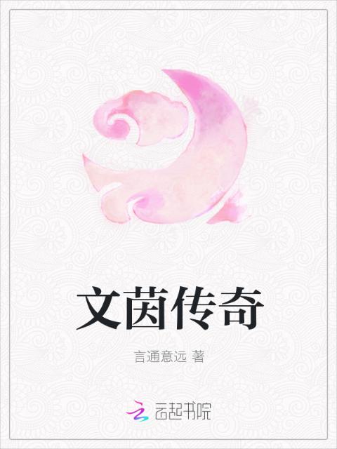 文茵传奇