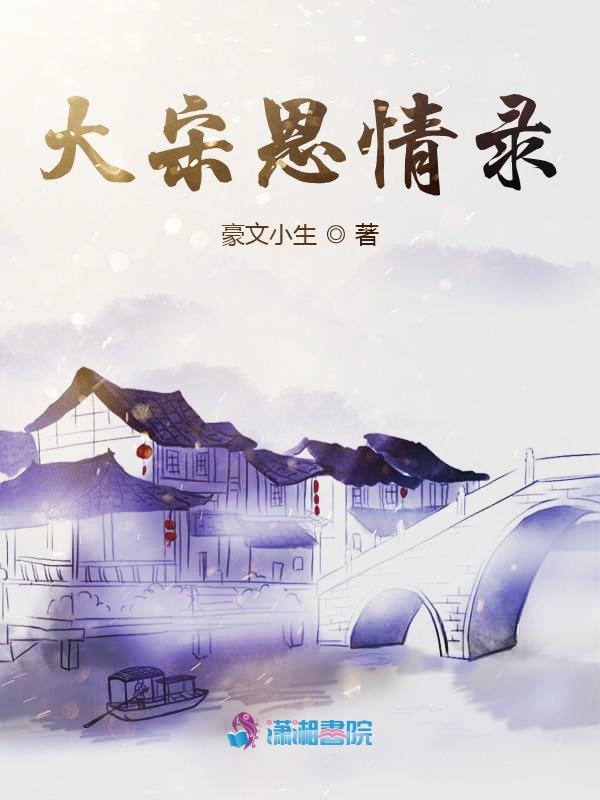 大宋恩情录