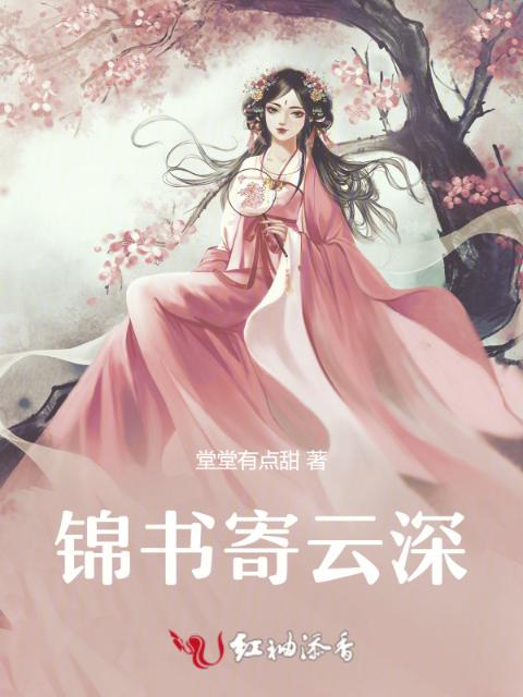 锦书寄云深