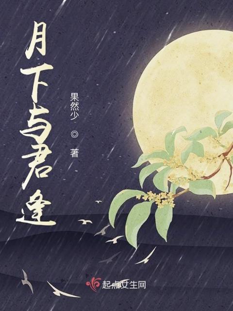 贤婿2原著小说