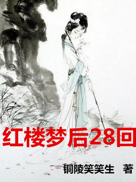 红楼梦后28回