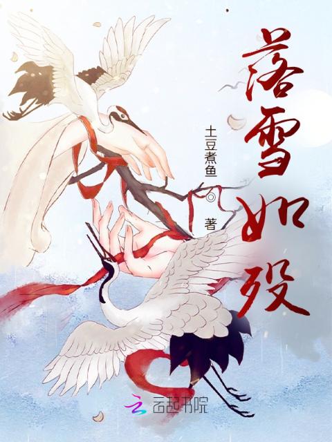 落雪如殁