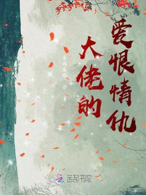 大佬的爱恨情仇