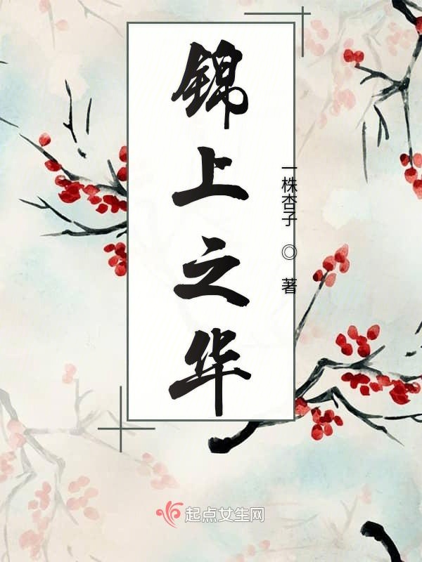 锦上之华
