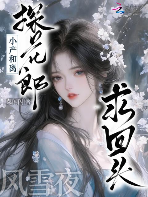 小产和离，探花郎风雪夜求回头