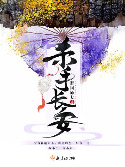 杀手长安