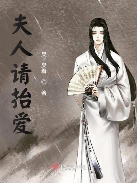 夫人请抬爱
