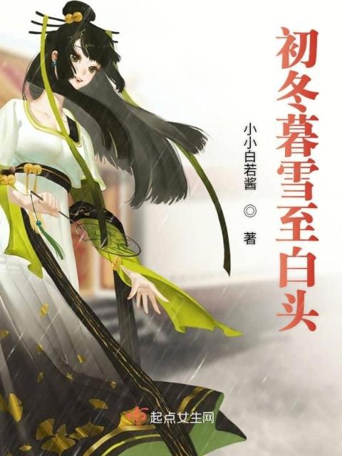 初冬暮雪至白头