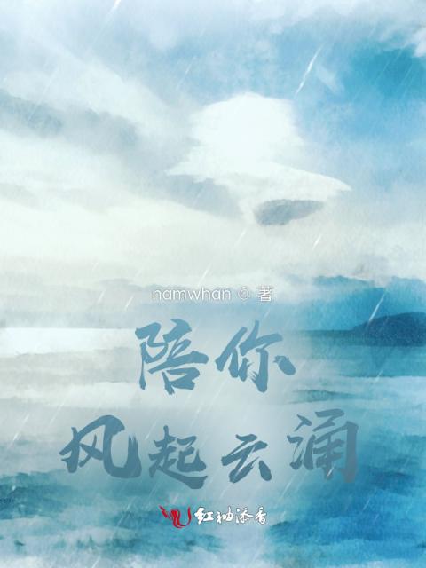 陪你风起云涌