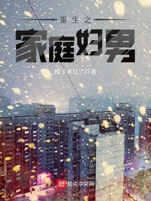 重生之家庭妇男
