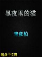 黑夜里的猫