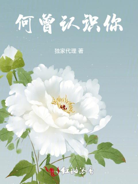 何曾认识你