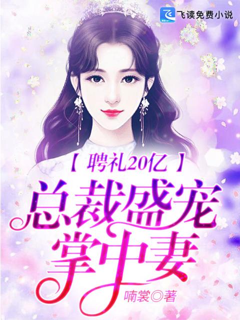 聘礼20亿：总裁盛宠掌中妻
