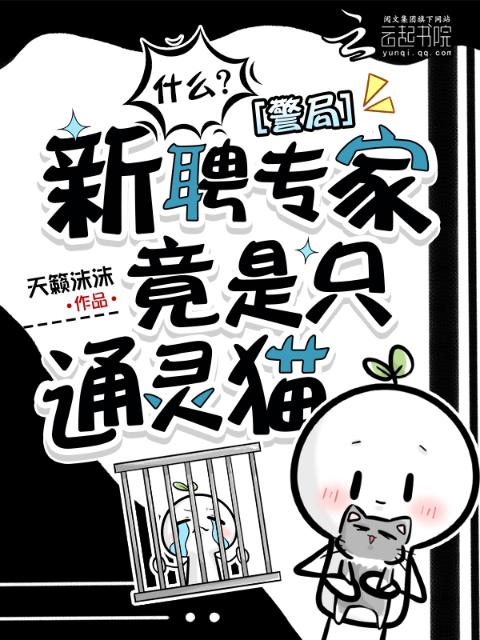 什么？警局新聘专家竟是只通灵猫