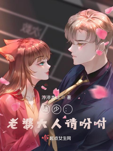 陆少：老婆大人请吩咐