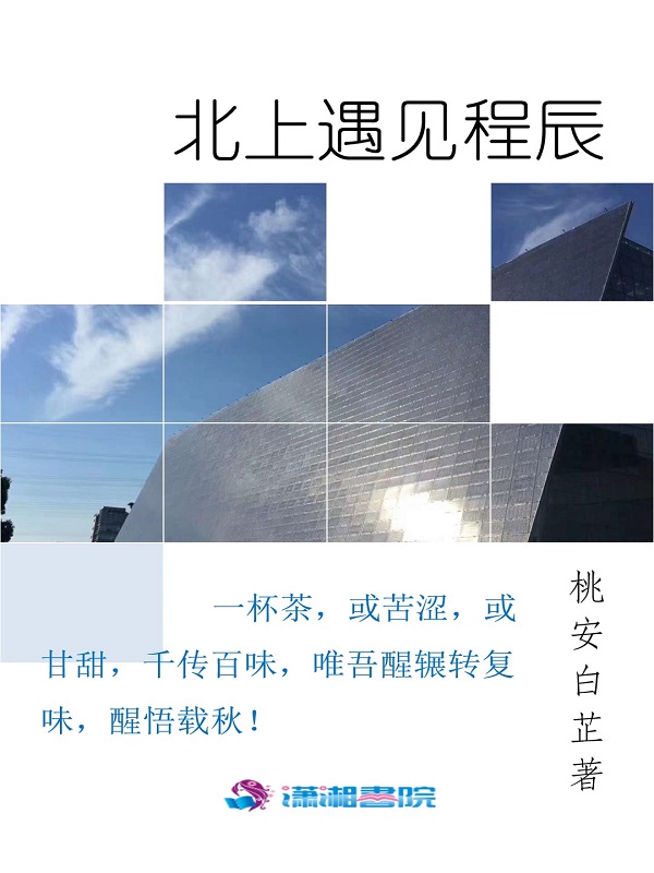 北上遇见程辰
