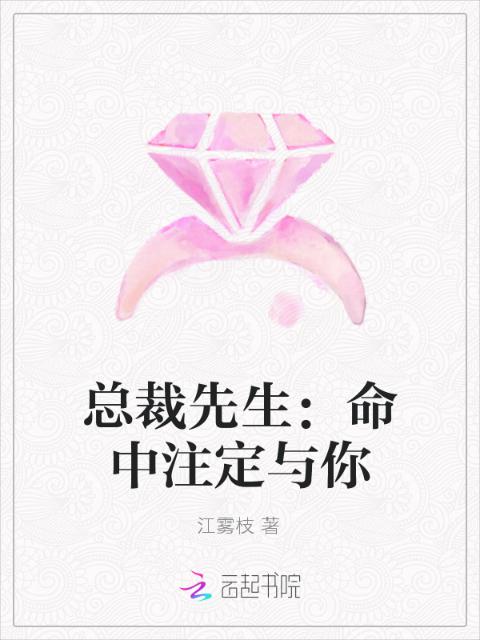 总裁先生：命中注定与你