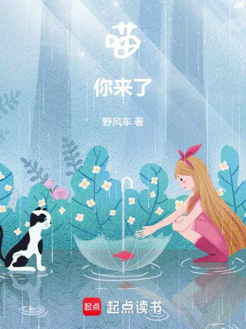 喵，你来了