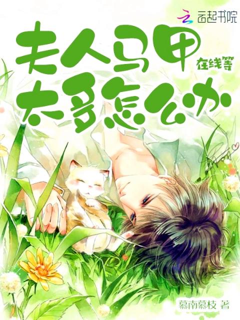 夫人马甲太多怎么办在线等