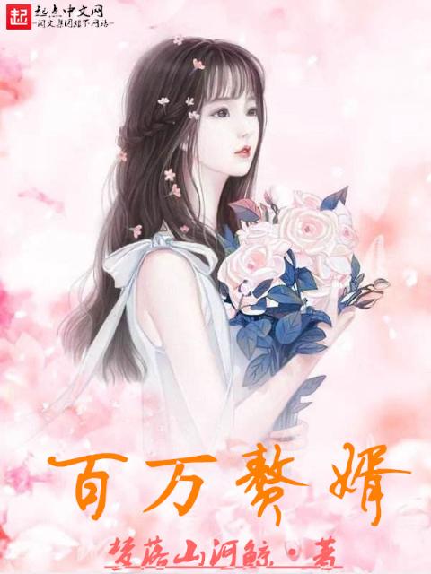 百万赘婿