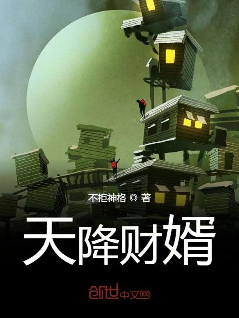 天降财婿