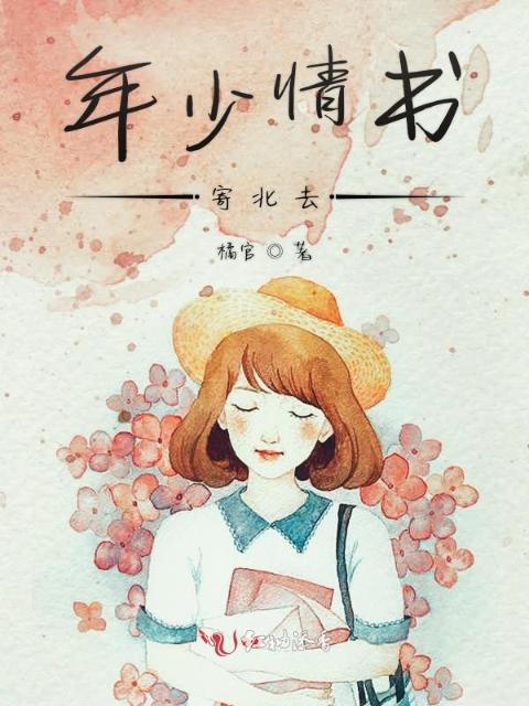 年少情书寄北去