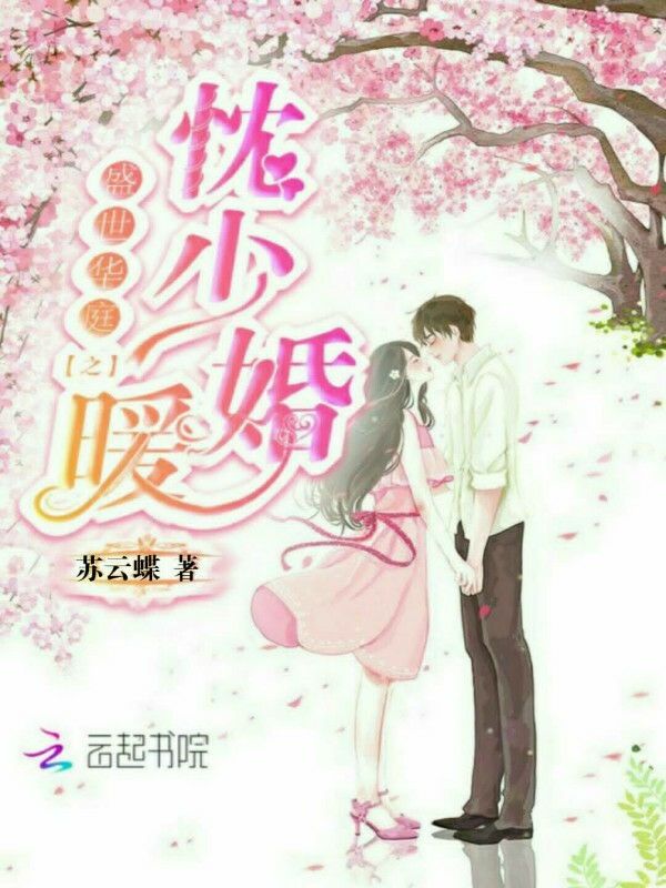 盛世华庭之忱少暖婚