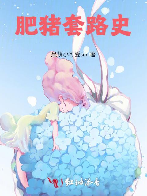 肥猪套路史