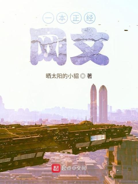 一本正经网文