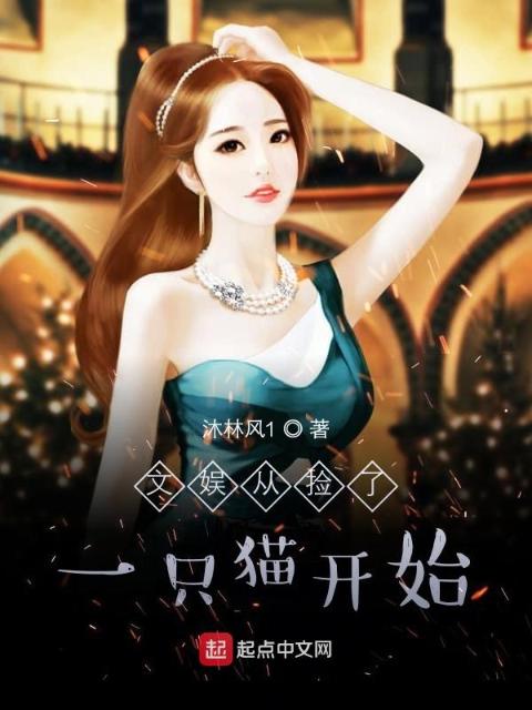 传奇从捡了一只猫开始