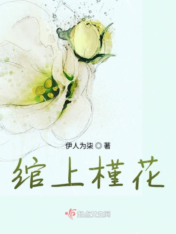 绾上槿花