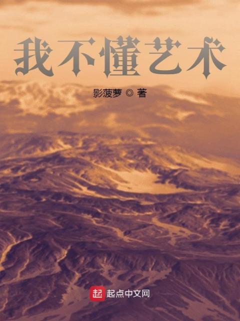 我不懂艺术