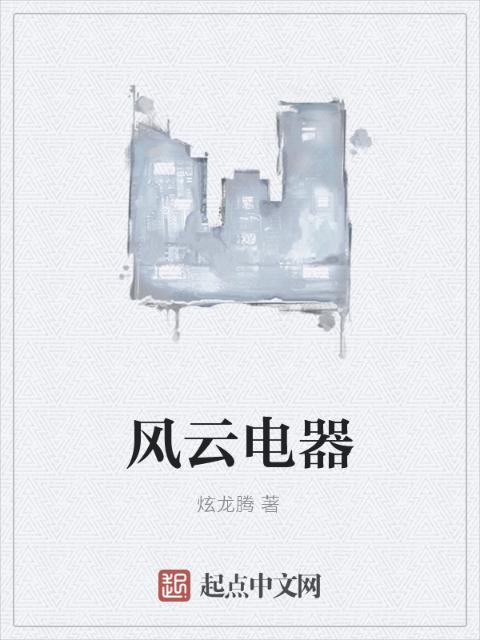 风云电器