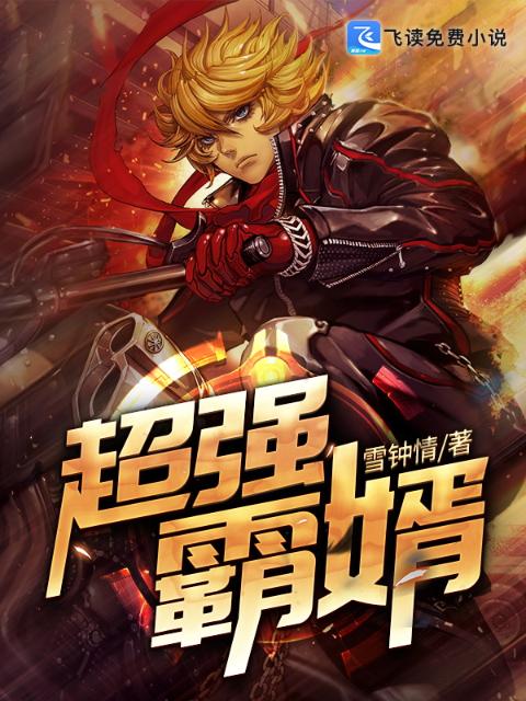 超强霸婿