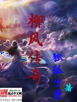 柳风传奇