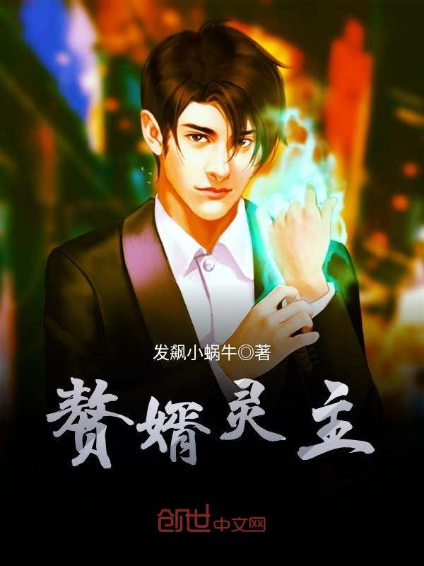 赘婿灵主