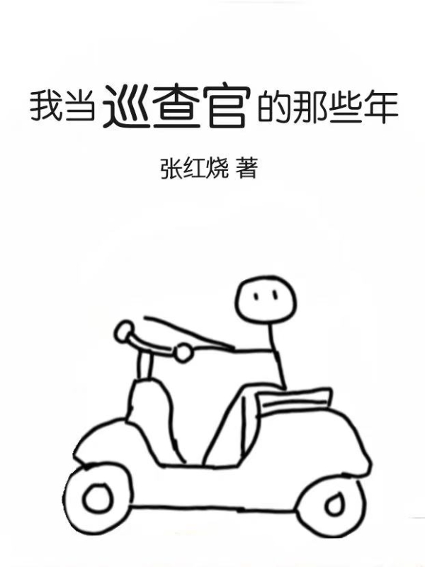 我当巡查官的那些年