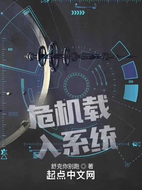 危机载入系统