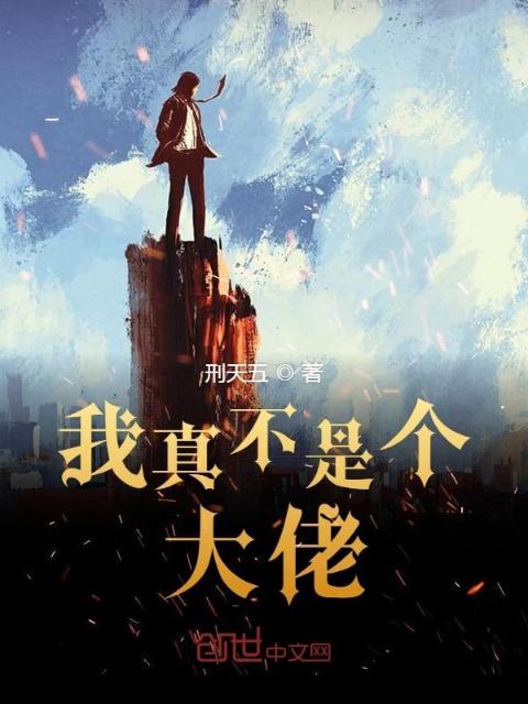 我真不是个大佬