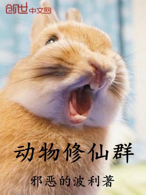 动物修仙群