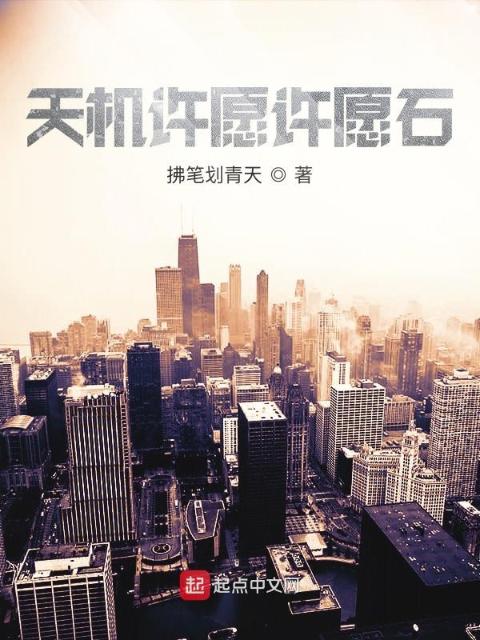 天机许愿许愿石