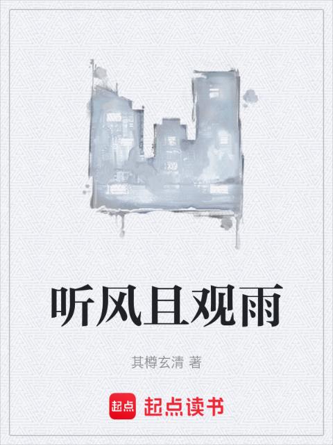 听风且观雨