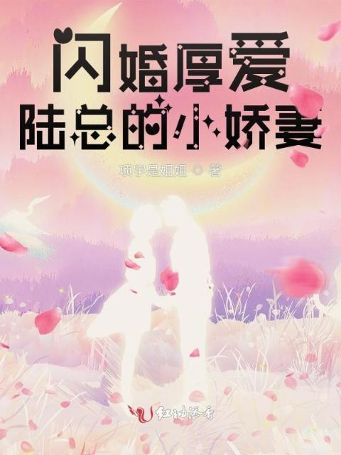 闪婚厚爱陆总的小娇妻