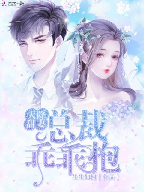 天降甜妻：总裁乖乖抱