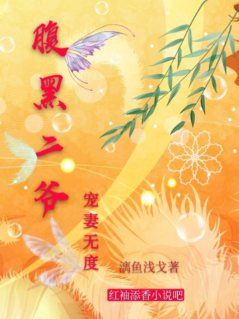 腹黑二爷宠妻无度