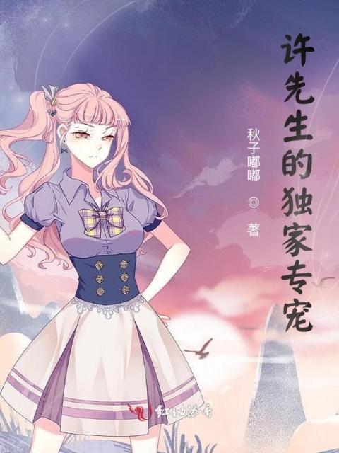 许先生的独家专宠