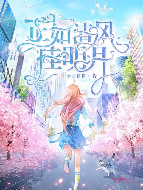 正如清风挂明月